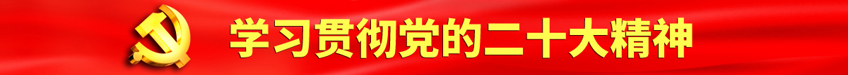 碰摸舔操逼高清视频认真学习贯彻落实党的二十大会议精神