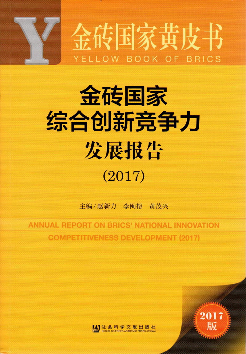 肏逼视频大片免费观看金砖国家综合创新竞争力发展报告（2017）